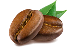 ЭКСТРАКТ КОФЕЙНЫХ ЗЕРЕН