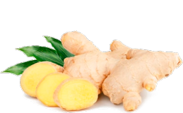 ЭКТСРАКТ КОРНЯ ИМБИРЯ