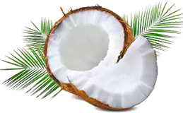 МАСЛО КОКОСА